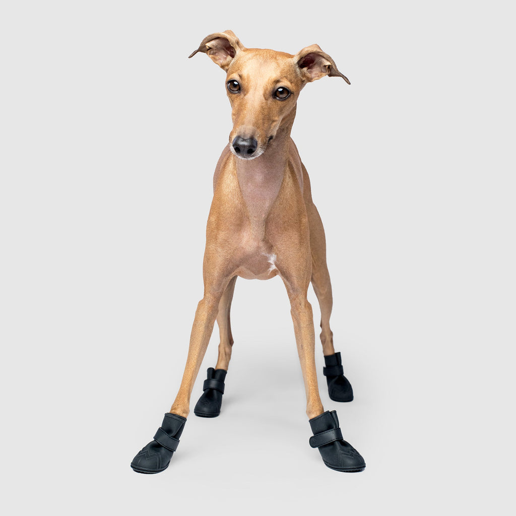 Unlined Wellies - BPYL