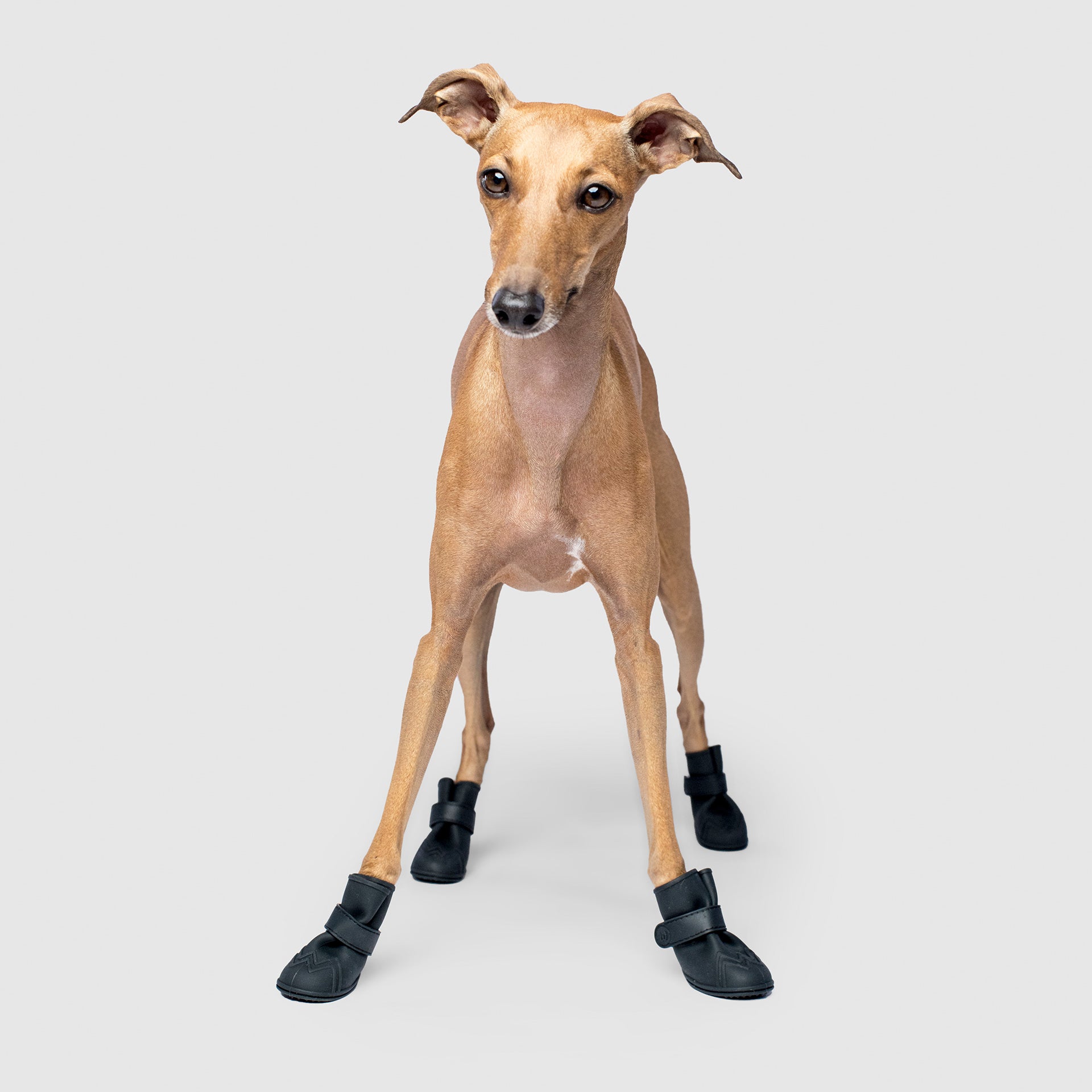 Unlined Wellies - BPYL