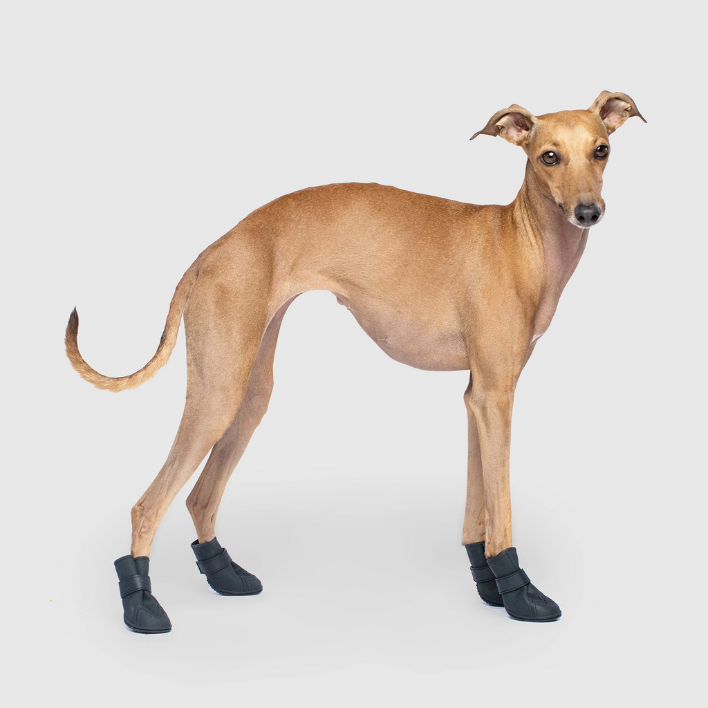 Unlined Wellies - BPYL