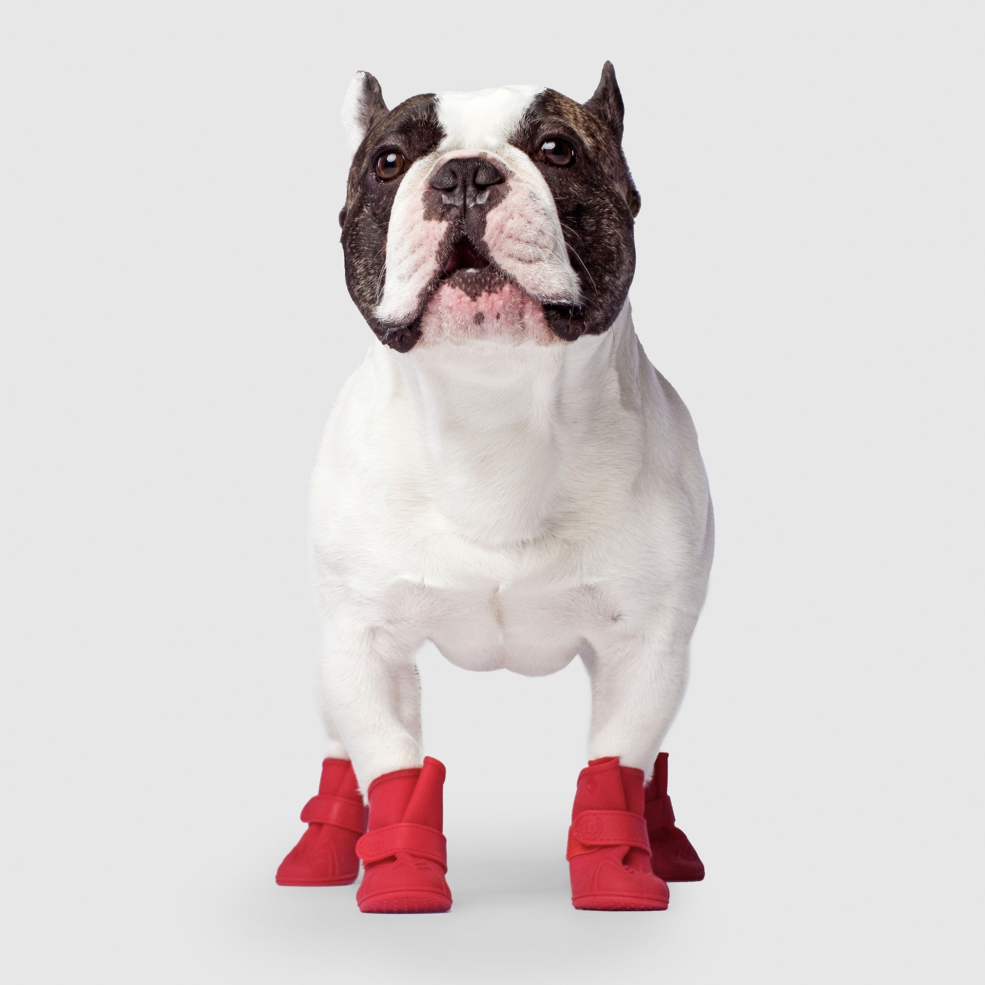 Unlined Wellies - BPYL