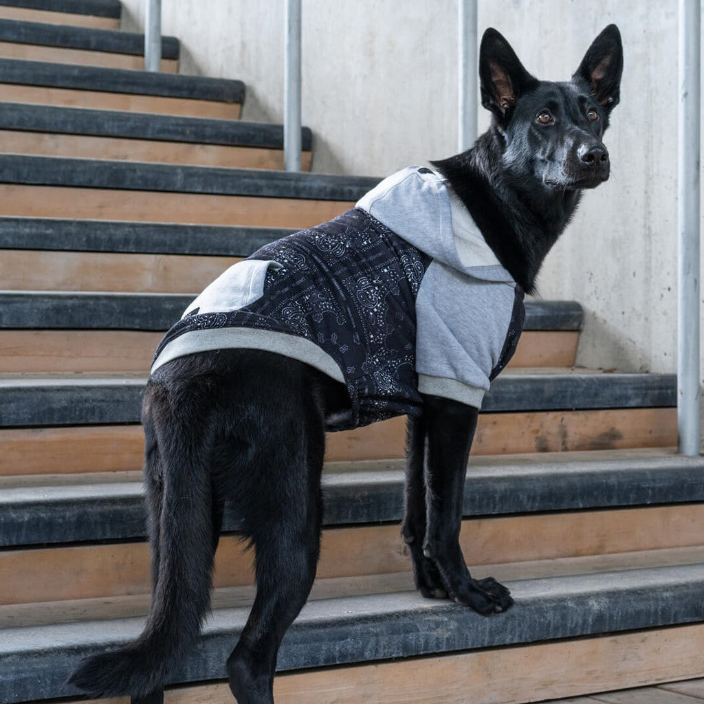 Whatever The Weather Hoodie - N70W
