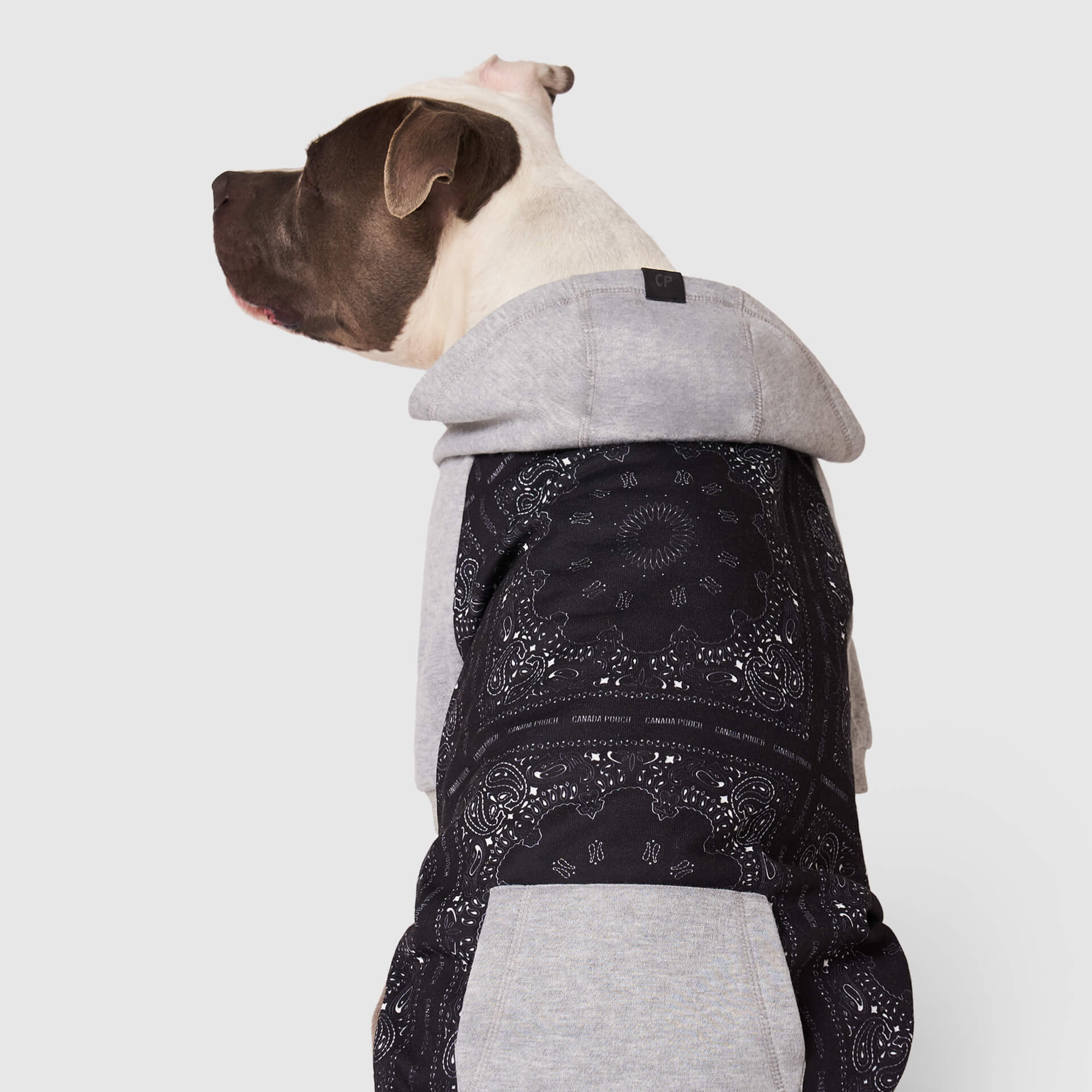 Whatever The Weather Hoodie - N70W