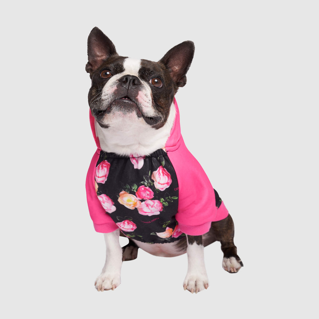 Whatever The Weather Hoodie - N70W